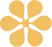 orange-icon a